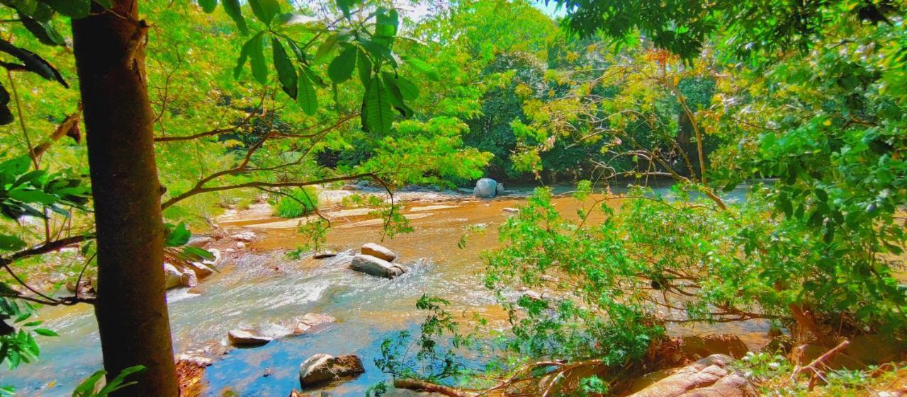 Casa Kumake Tayrona Villa Zaino Kültér fotó