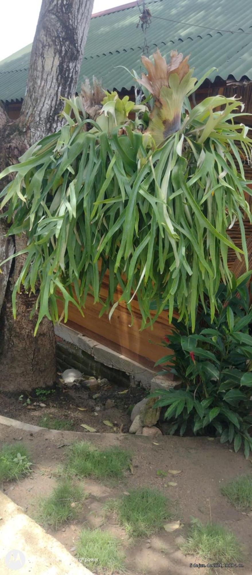 Casa Kumake Tayrona Villa Zaino Kültér fotó