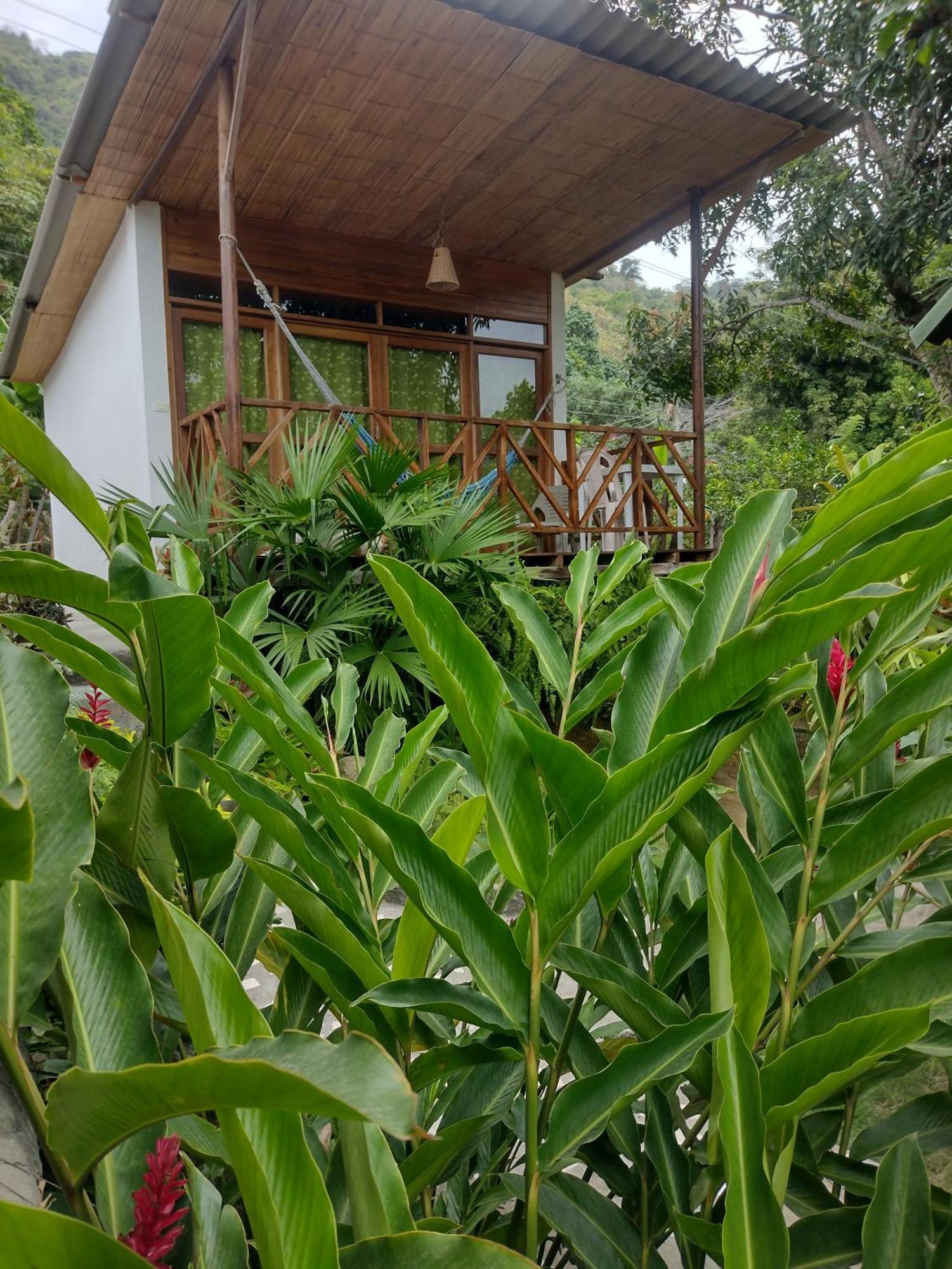 Casa Kumake Tayrona Villa Zaino Kültér fotó