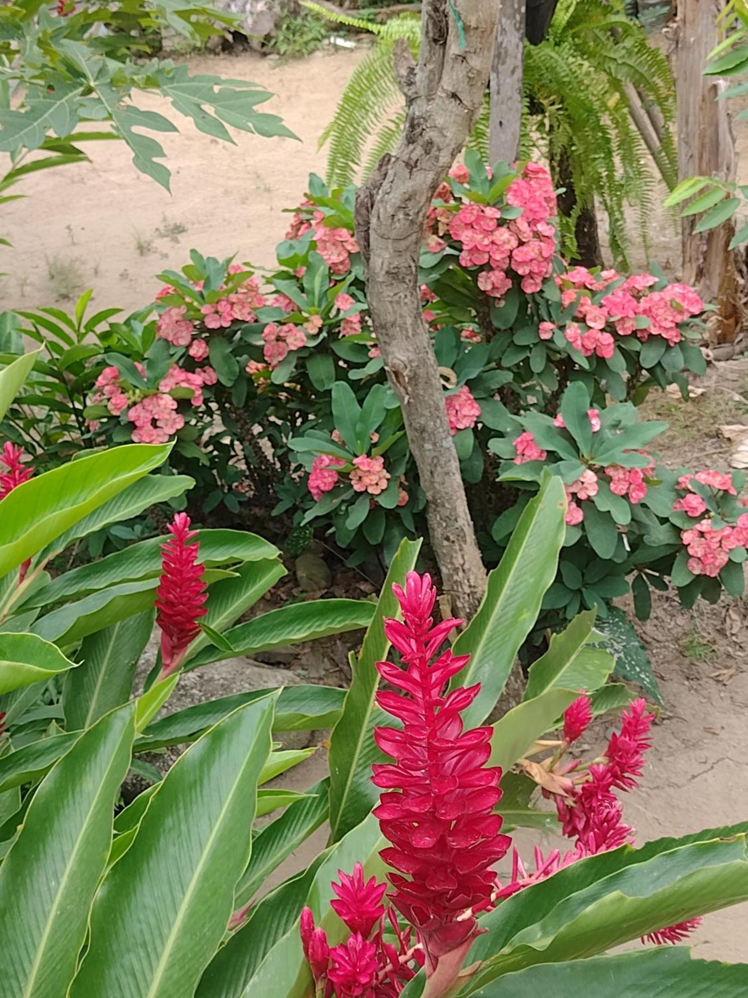 Casa Kumake Tayrona Villa Zaino Kültér fotó