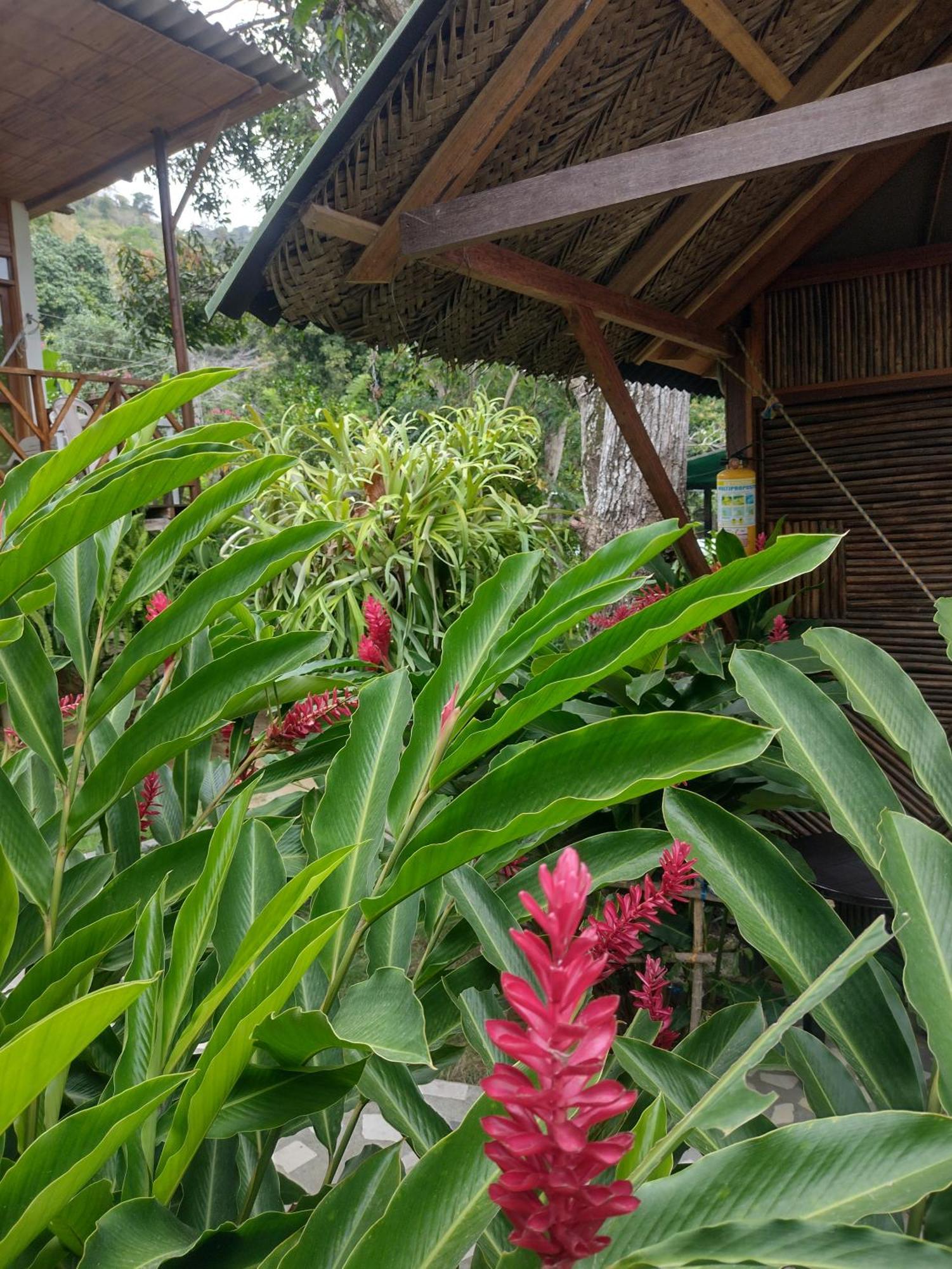Casa Kumake Tayrona Villa Zaino Kültér fotó