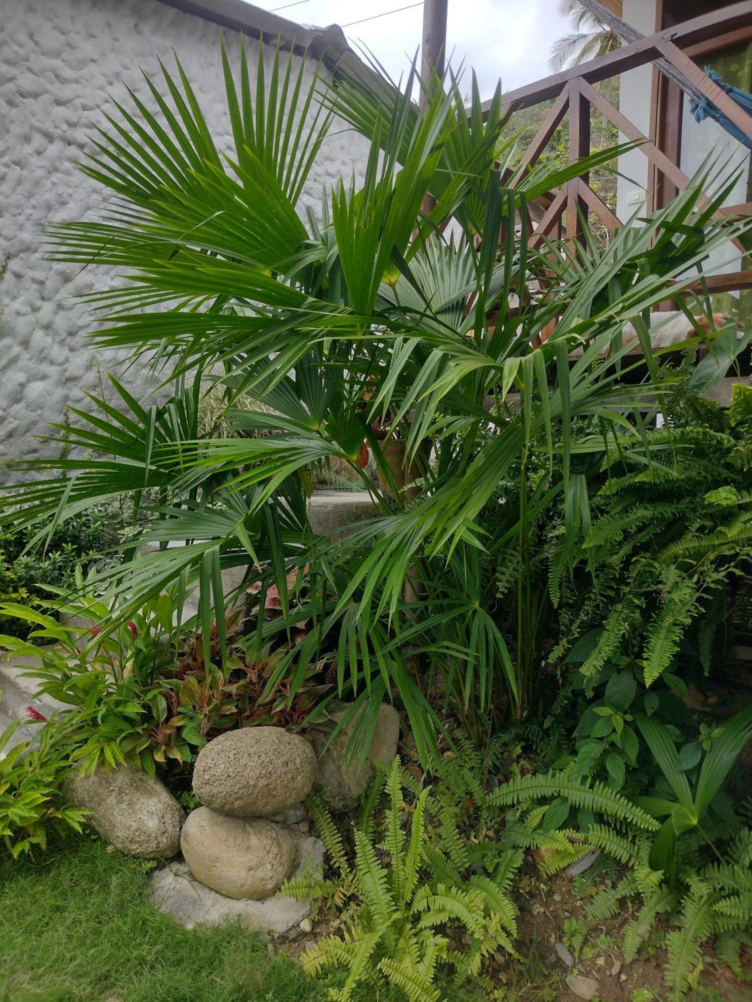 Casa Kumake Tayrona Villa Zaino Kültér fotó